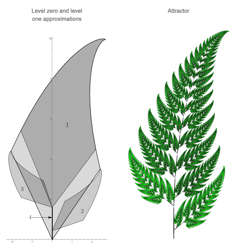 Approximating Barnsley's ferns