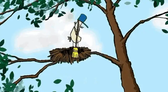 Cartoon Bird in Nest: The Nest Is Best